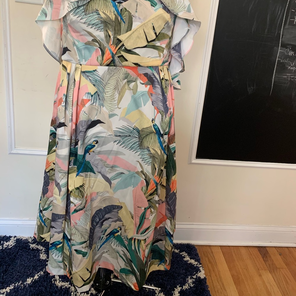 ASOS Curve Floral Bird Spring/Summer Party Dress - Picture 3 of 14